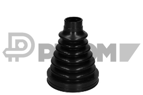 P081310