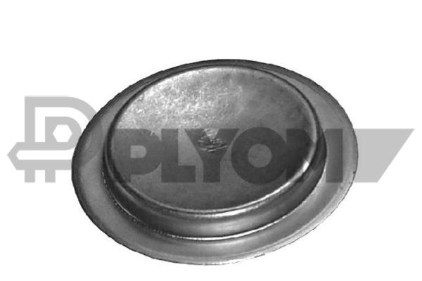 P950068