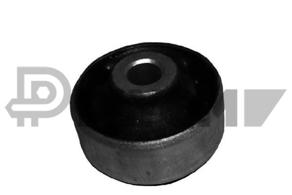 P010100
