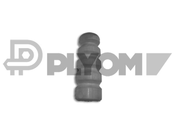P480531