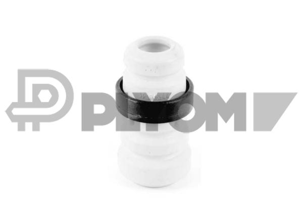P750013