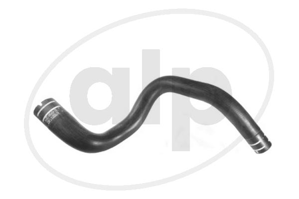 ALP-005590