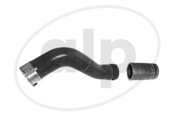 ALP-007725