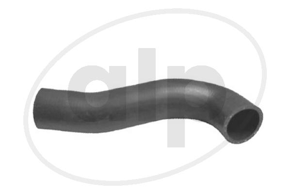 ALP-004516
