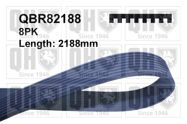 QBR82188