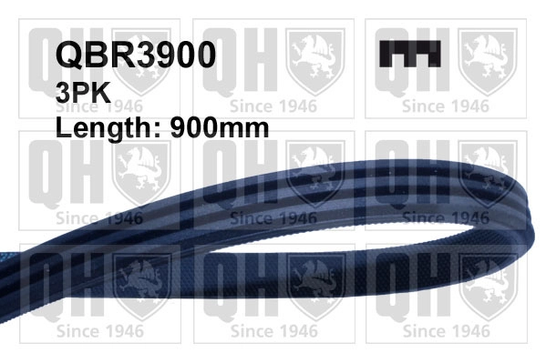 QBR3900