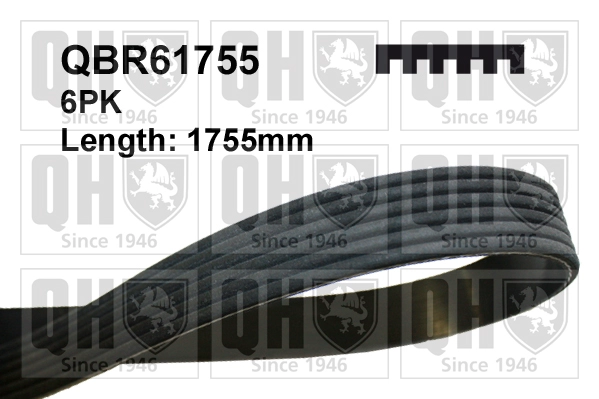 QBR61755