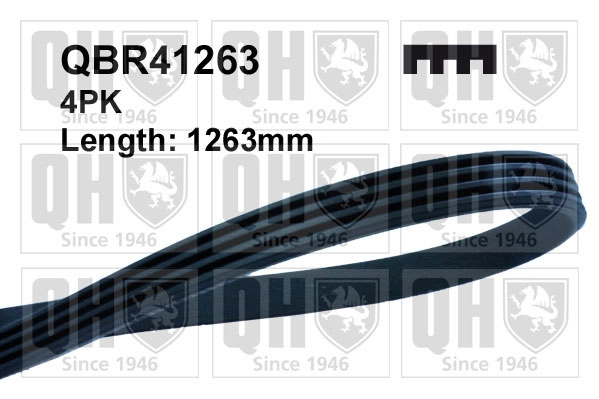QBR41263