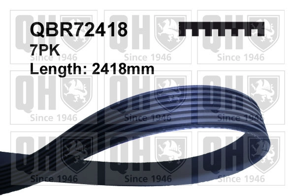 QBR72418