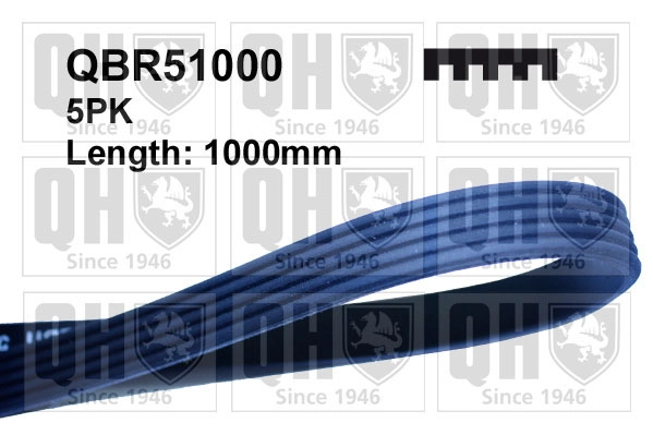 QBR51000