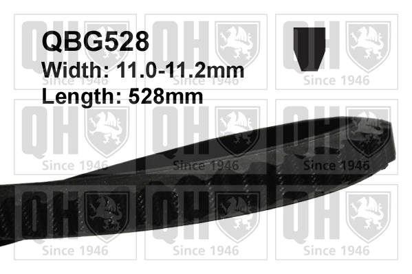 QBG528