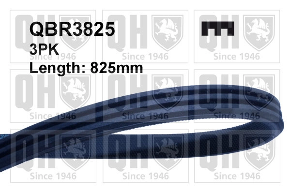 QBR3825