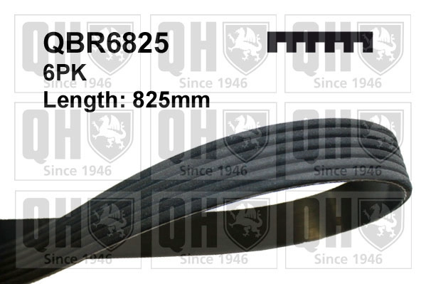 QBR6825