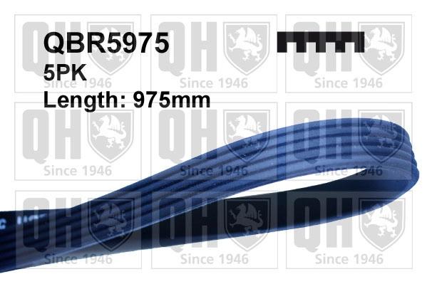 QBR5975
