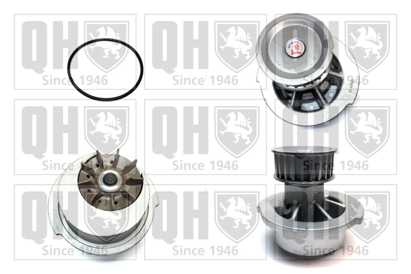 QCP3084