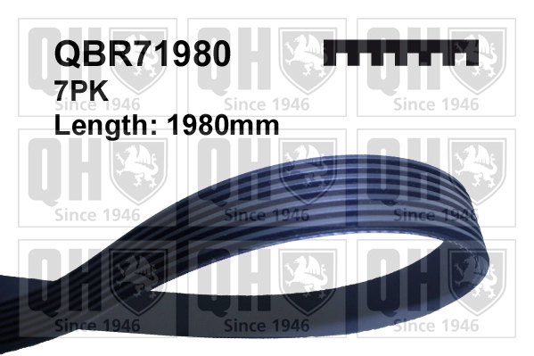 QBR71980