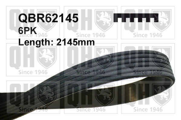 QBR62145