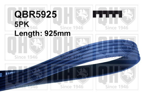 QBR5925