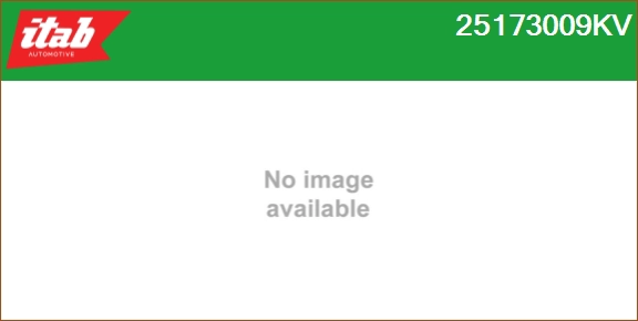 25173009KV