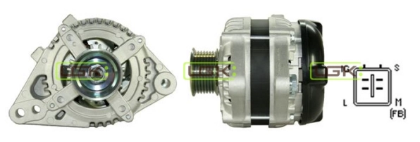 446003