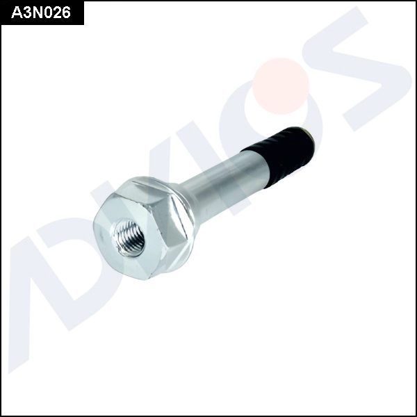 A3N026
