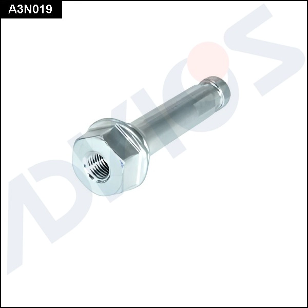 A3N019