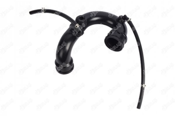 11729