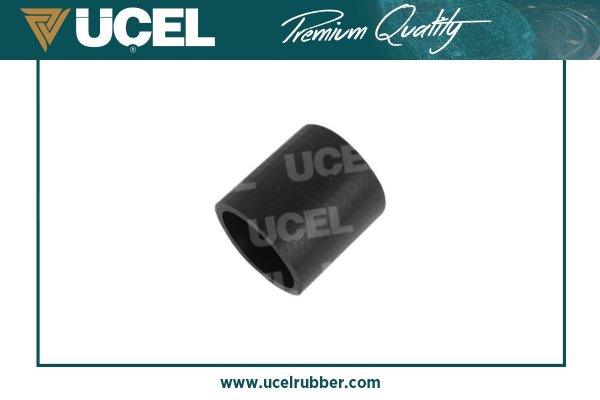 65254