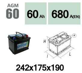 55411301