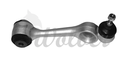 SP307981
