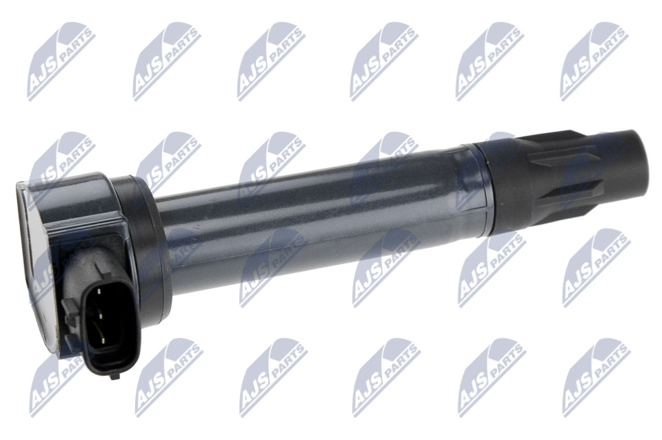 ECZ-MS-013
