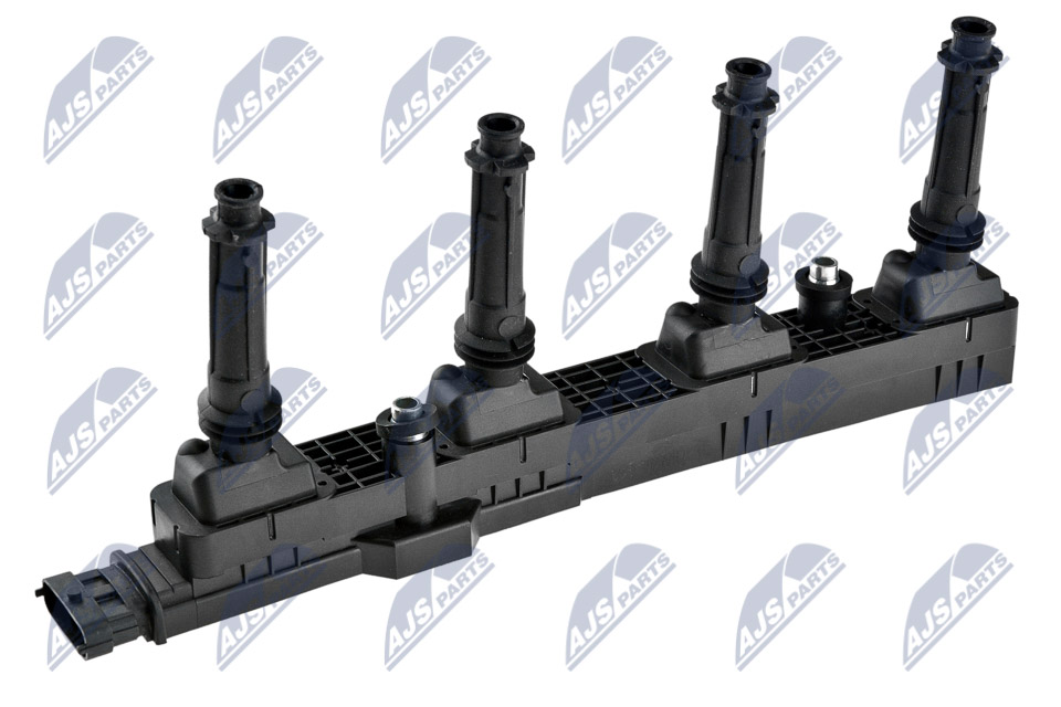 ECZ-PL-013