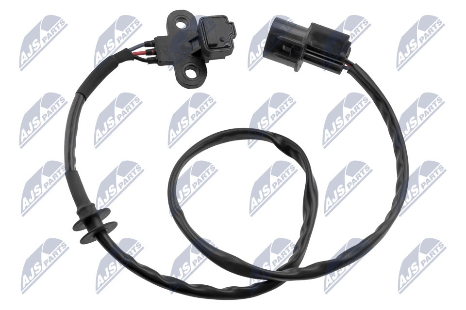 ECP-MS-016