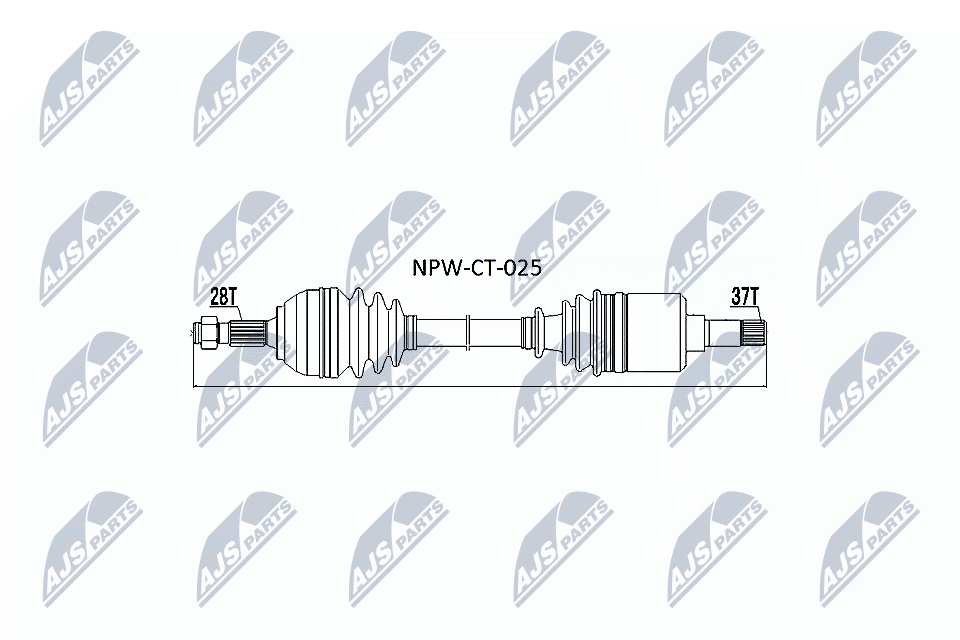 NPW-CT-025