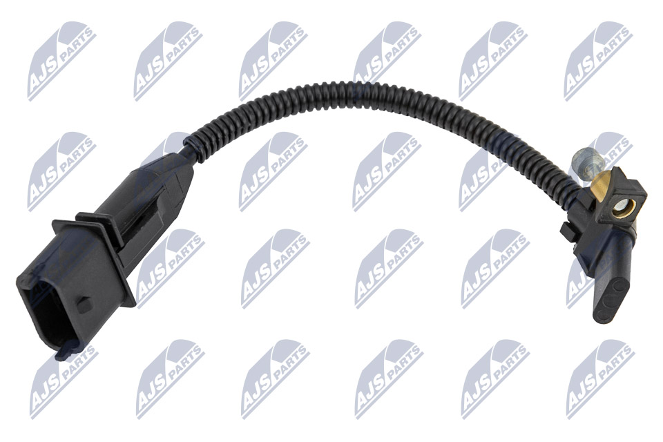 ECP-PL-013