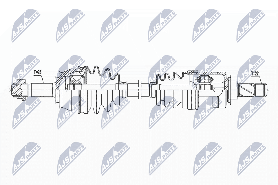 NPW-PL-097
