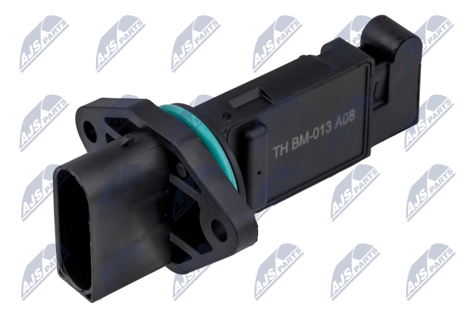 EPP-BM-013