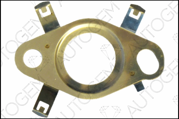 CEG9567