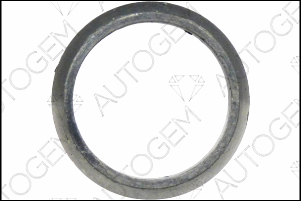 CEG5918