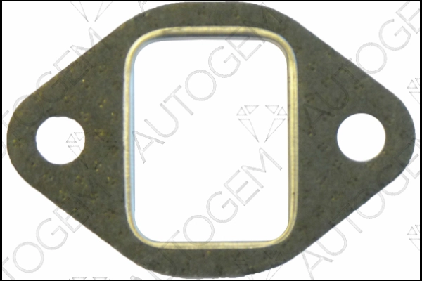 CEG9566