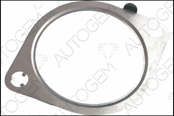 CEG9308