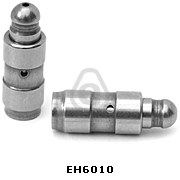 EH6010