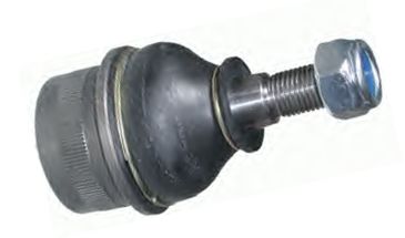 70031