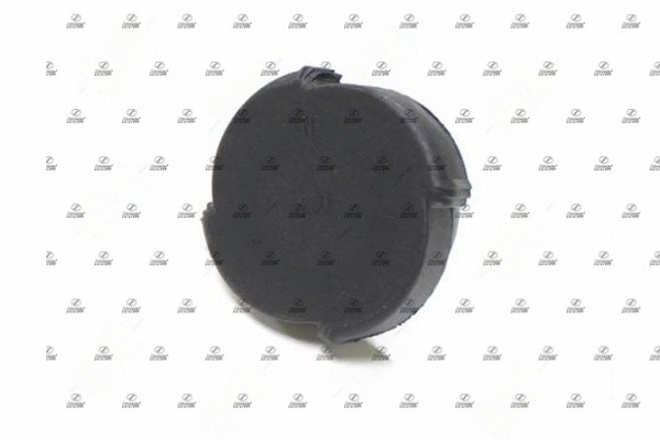 BMS17.00037