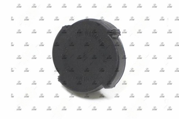 BMS17.00035