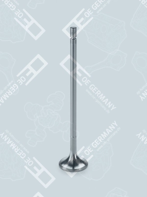 51041010482