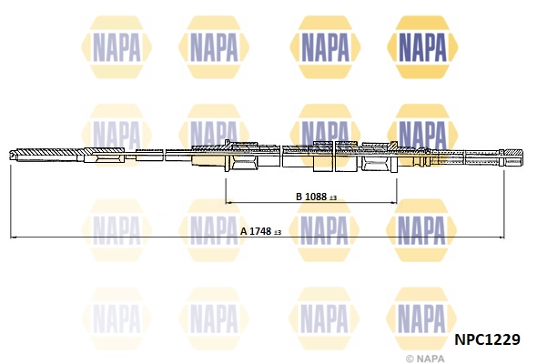 NPC1229