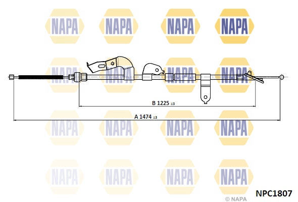 NPC1807