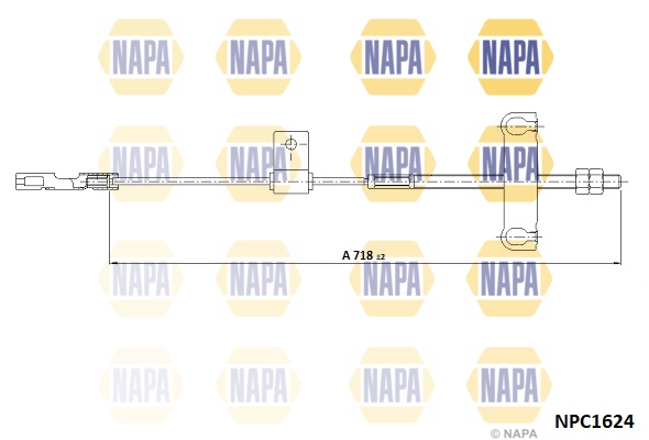 NPC1624