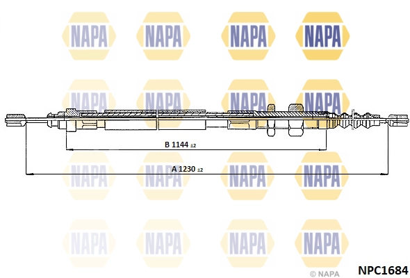 NPC1684